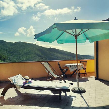 Casale Pundarika Pension Riparbella Buitenkant foto