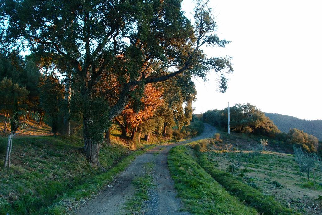Casale Pundarika Pension Riparbella Buitenkant foto
